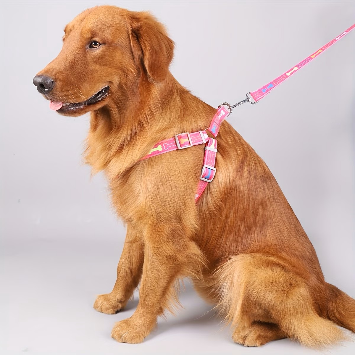 Adjustable Dog Harness with Qu – D Ring Strap Bewertung und Preis