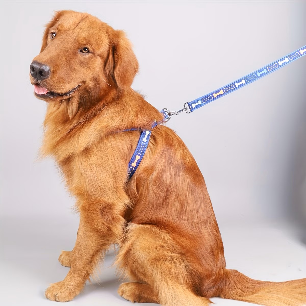 Adjustable Dog Harness with Qu – D Ring Strap Bewertung und Preis