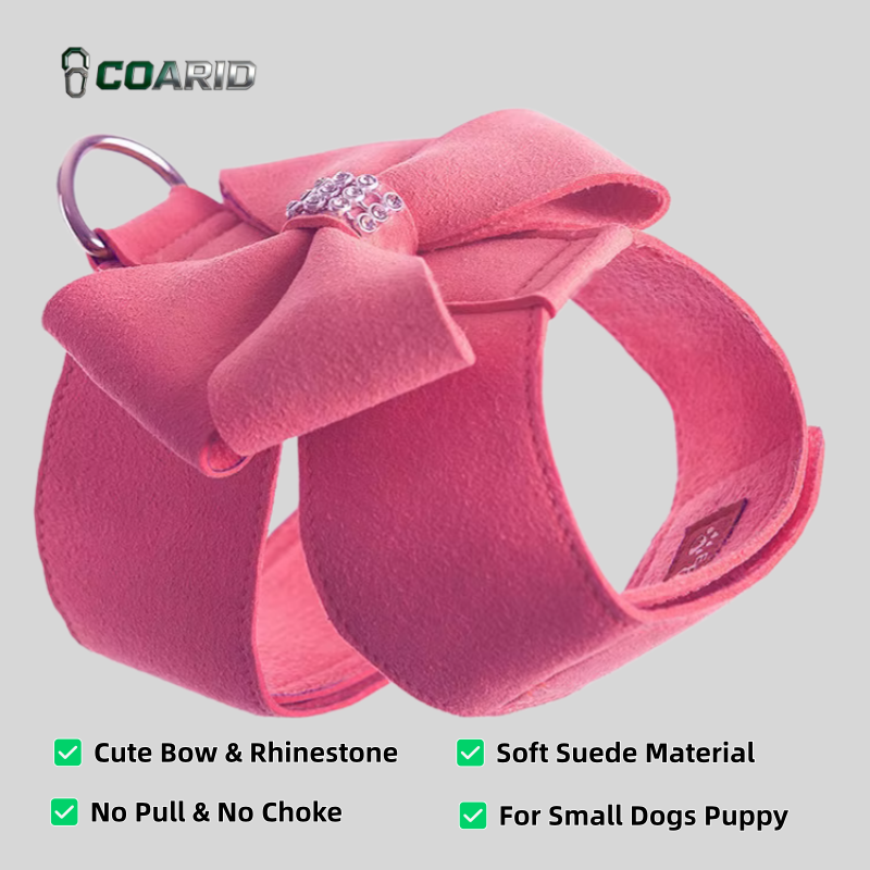 Cute Dog Harness Leash Set Sma – D Ring Strap Bewertung und Preis