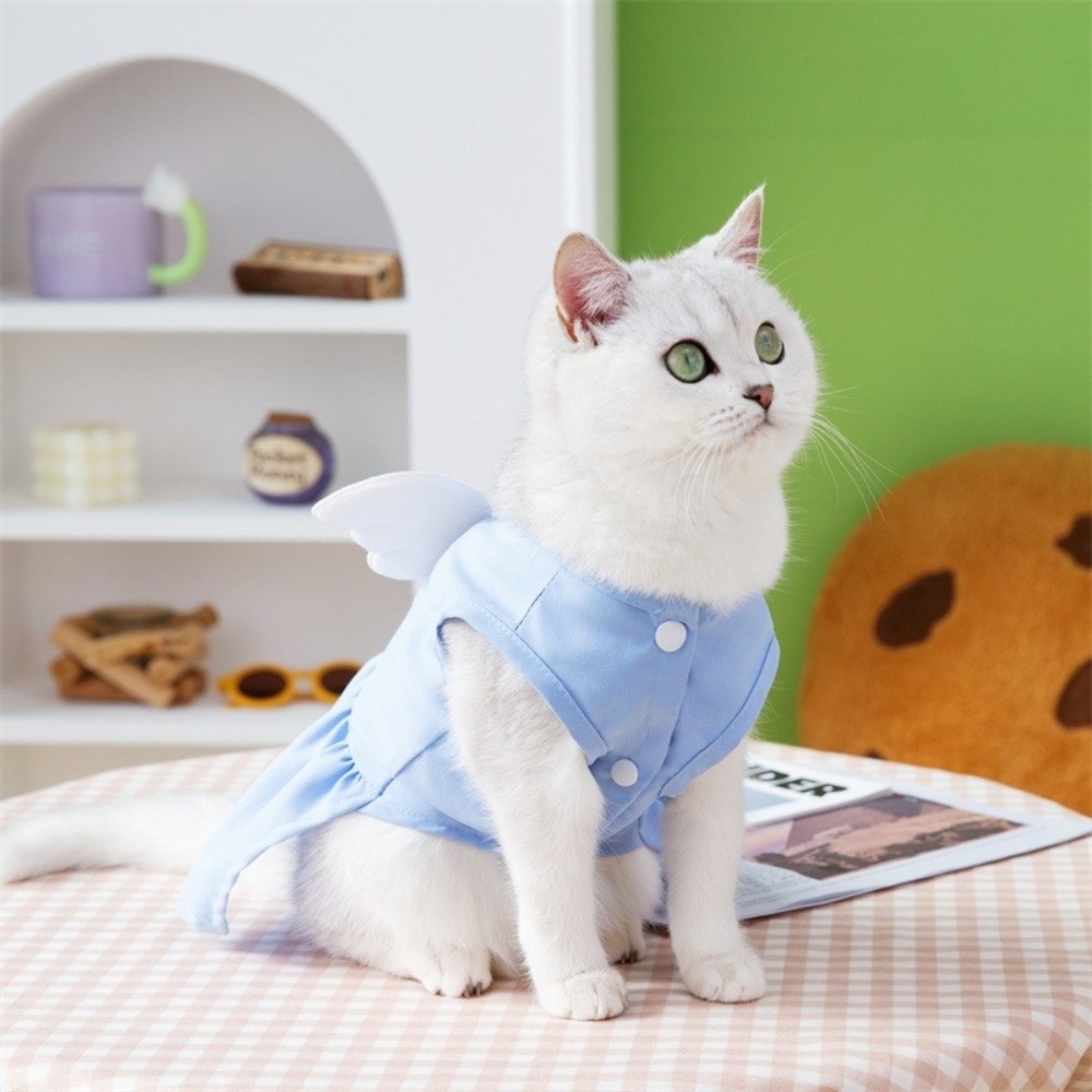 Pet Chest Strap Adorable Dog W – D Ring Strap Bewertung und Preis