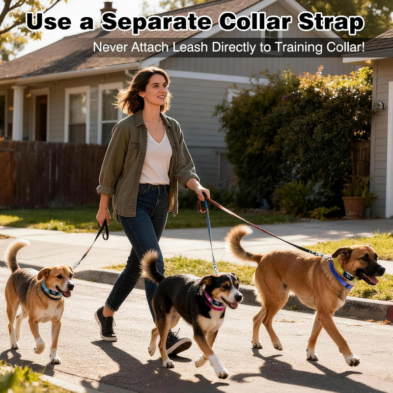 Dog Shock Collar Replacement S – D Ring Strap Bewertung und Preis