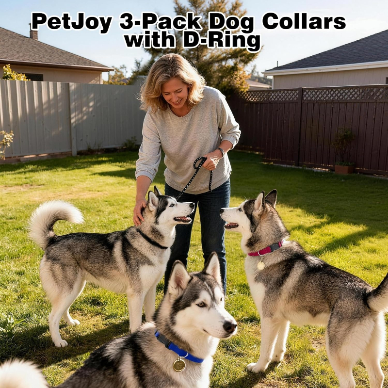 Dog Shock Collar Replacement S – D Ring Strap Bewertung und Preis