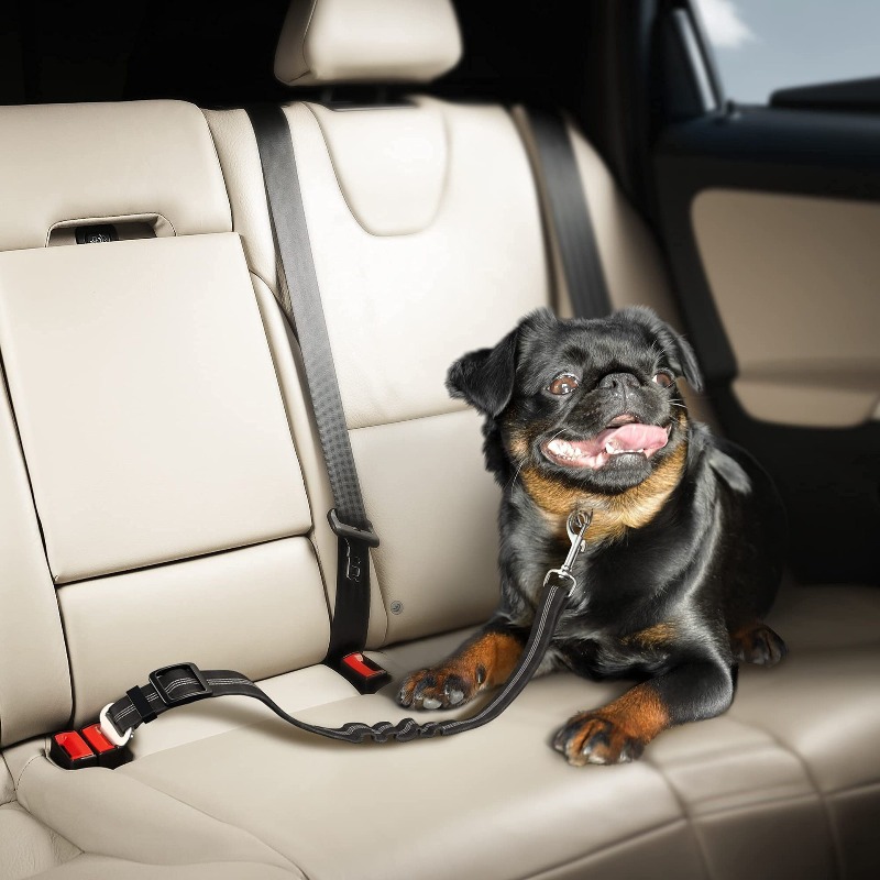 Retractable Dog Car Harness Se – Snap Fastener Set Bewertung und Preis