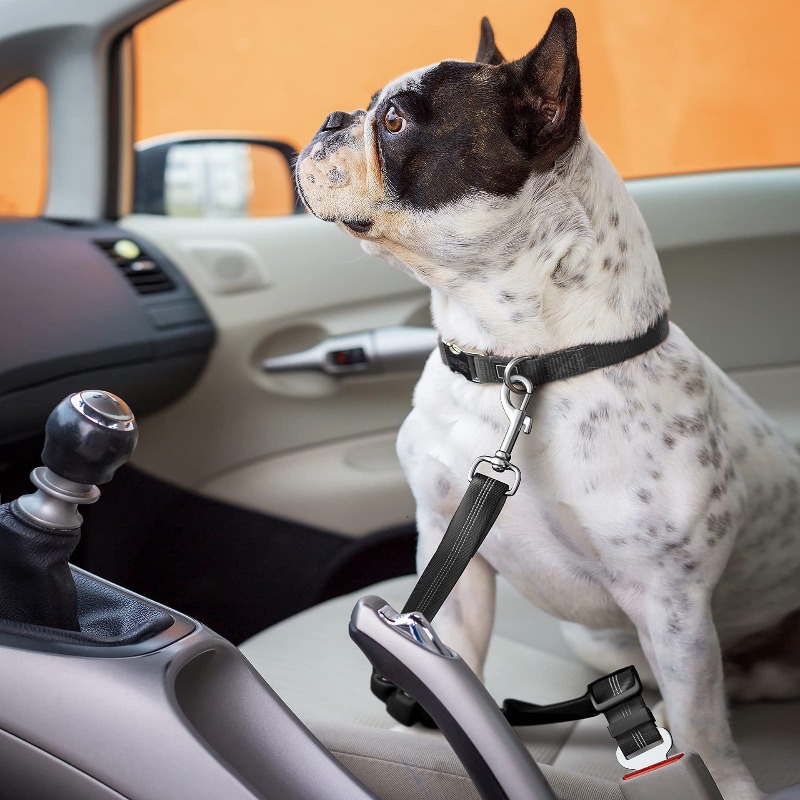 Retractable Dog Car Harness Se – Snap Fastener Set Bewertung und Preis